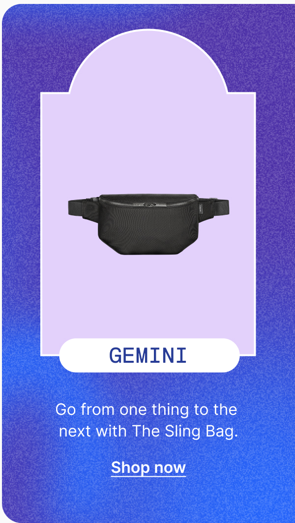 Gemini: The Sling Bag
